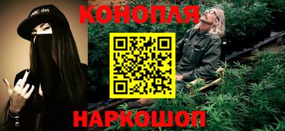 дмт Пенза