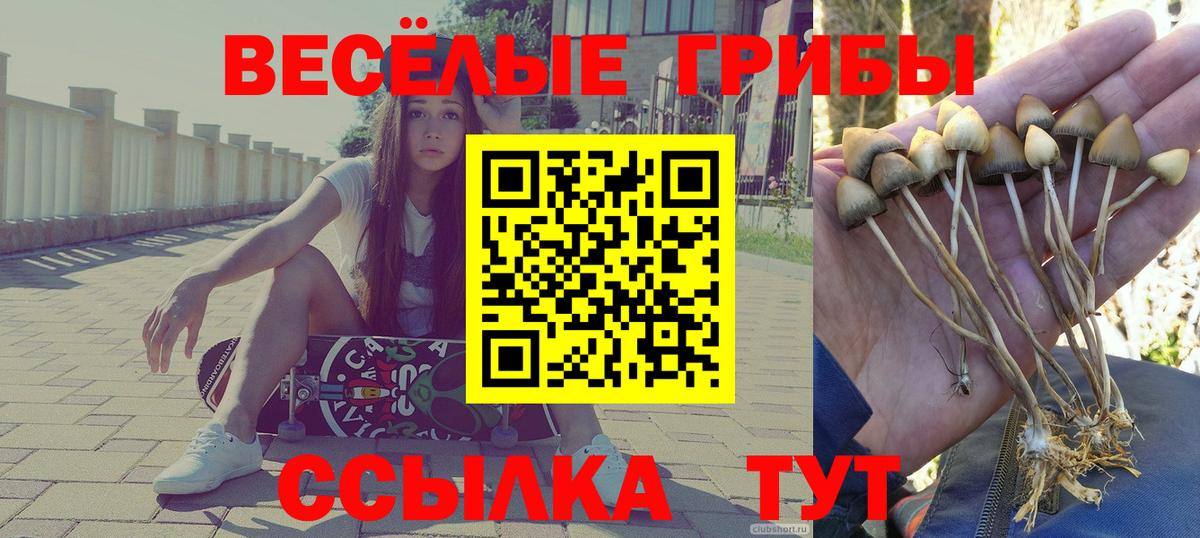 Ангарск  где купить наркоту  Вход с VPN  Галлюциногенные грибы Cubensis 